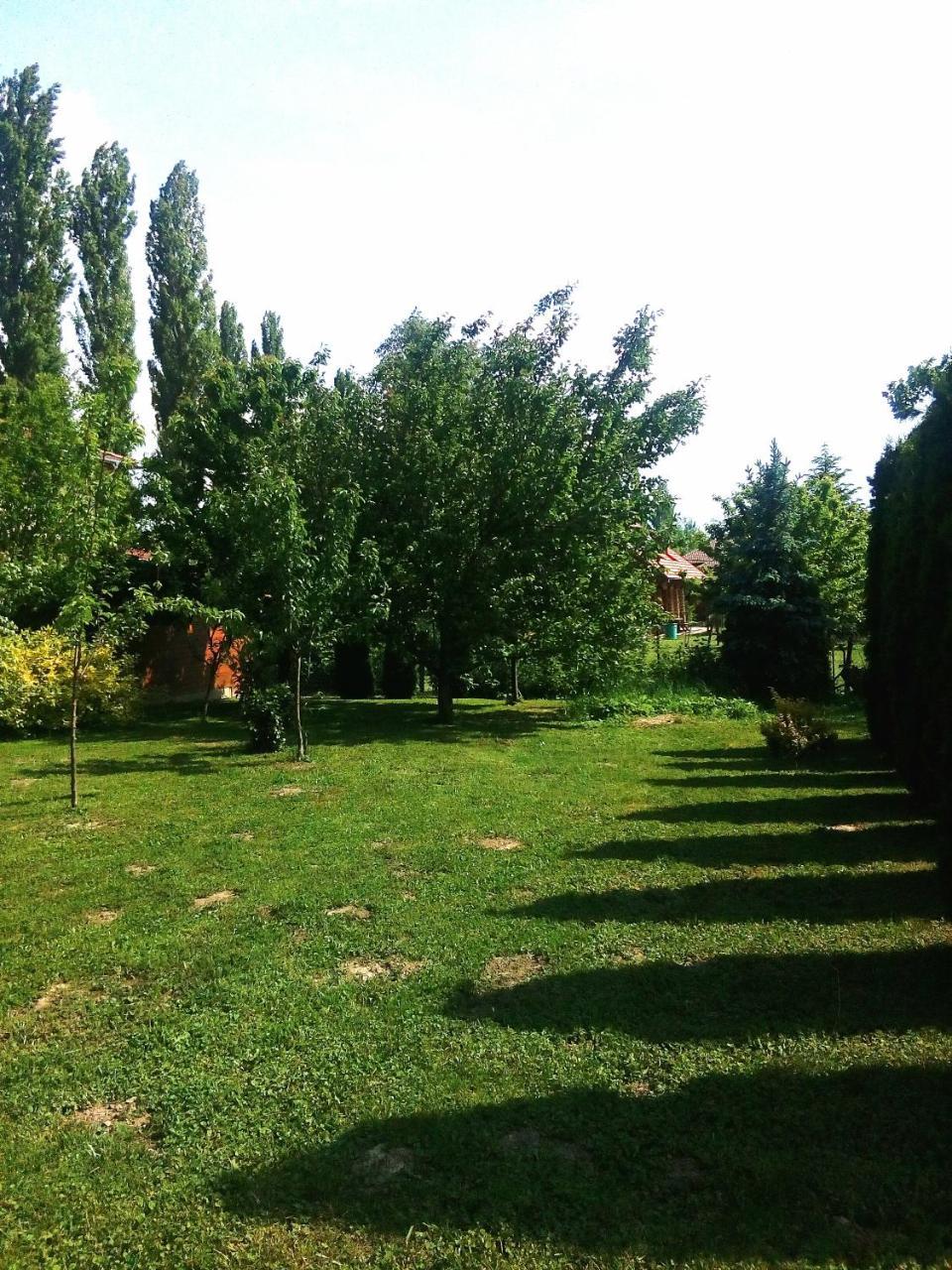 Benaja Swiss Nyaralohaz Βίλα Keszthely Εξωτερικό φωτογραφία